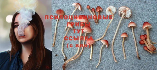герыч Алексин