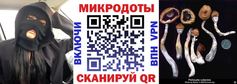 Галлюциногенные грибы Cubensis  Лянтор 