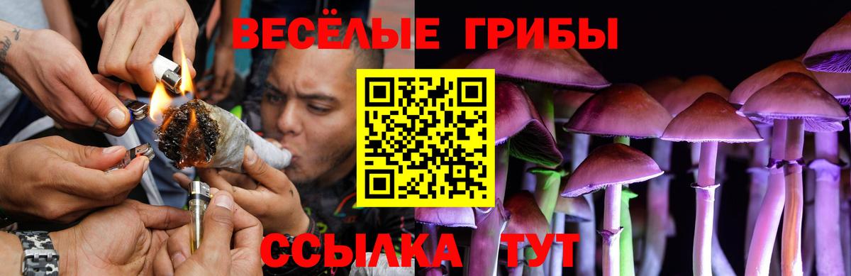 продажа наркотиков  Псилоцибиновые грибы мухоморы  Вход с VPN  Лянтор 